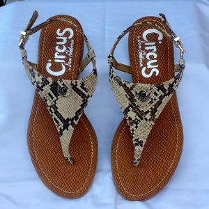 Circus by Sam Edelman Caroline Snake Sandals
